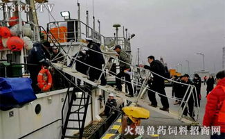 2019開(kāi)門(mén)紅 橫沙國(guó)際漁港喜迎年度首艘外輪，助力畜牧漁業(yè)飼料銷(xiāo)售