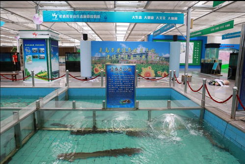 農(nóng)博亮點(diǎn)搶先看丨漁業(yè)畜牧業(yè)展覽 觀賞與實(shí)用并重，助力畜牧漁業(yè)飼料銷(xiāo)售