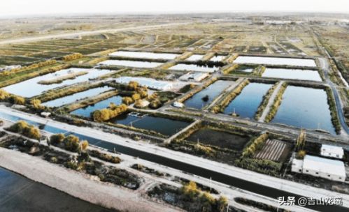 綠波蕩漾生金鏈 池塘綠色生態(tài)養(yǎng)殖模式示范區(qū)與畜牧漁業(yè)飼料銷售協(xié)同發(fā)展案例分析