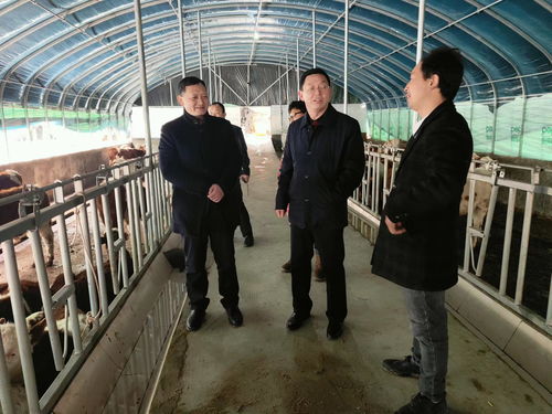 市農(nóng)業(yè)農(nóng)村局深入紫陽(yáng)縣調(diào)研畜牧漁業(yè)高質(zhì)量發(fā)展工作 聚焦飼料銷售環(huán)節(jié)強(qiáng)鏈補(bǔ)鏈